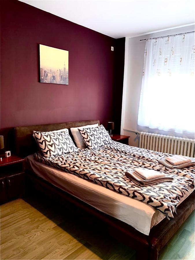 Apartman Danube Novi Sad Bagian luar foto