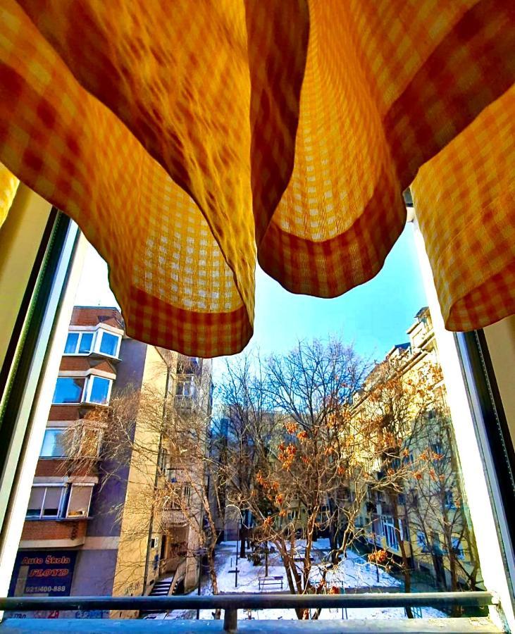 Apartman Danube Novi Sad Bagian luar foto
