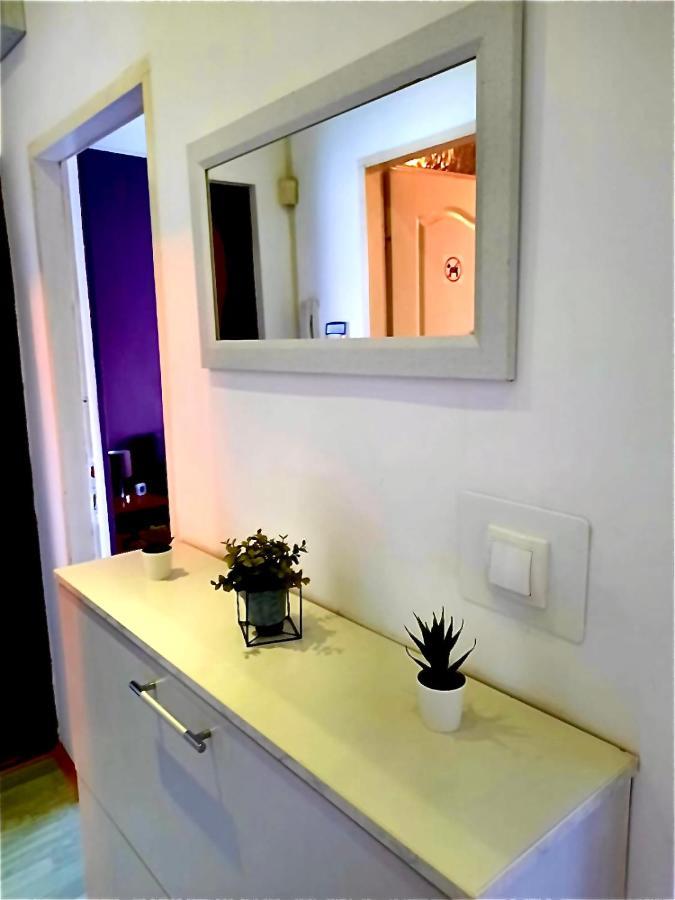 Apartman Danube Novi Sad Bagian luar foto