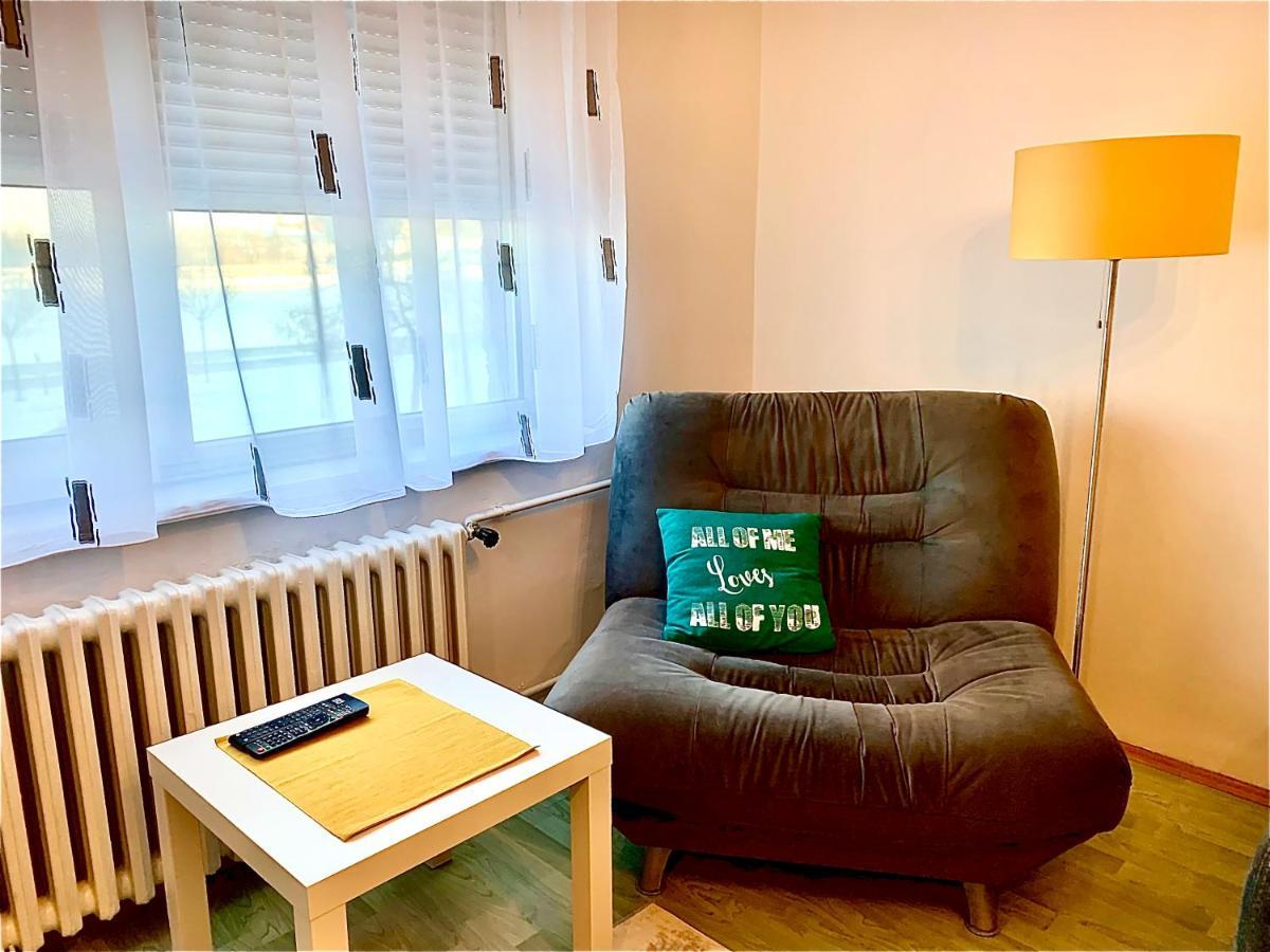 Apartman Danube Novi Sad Bagian luar foto
