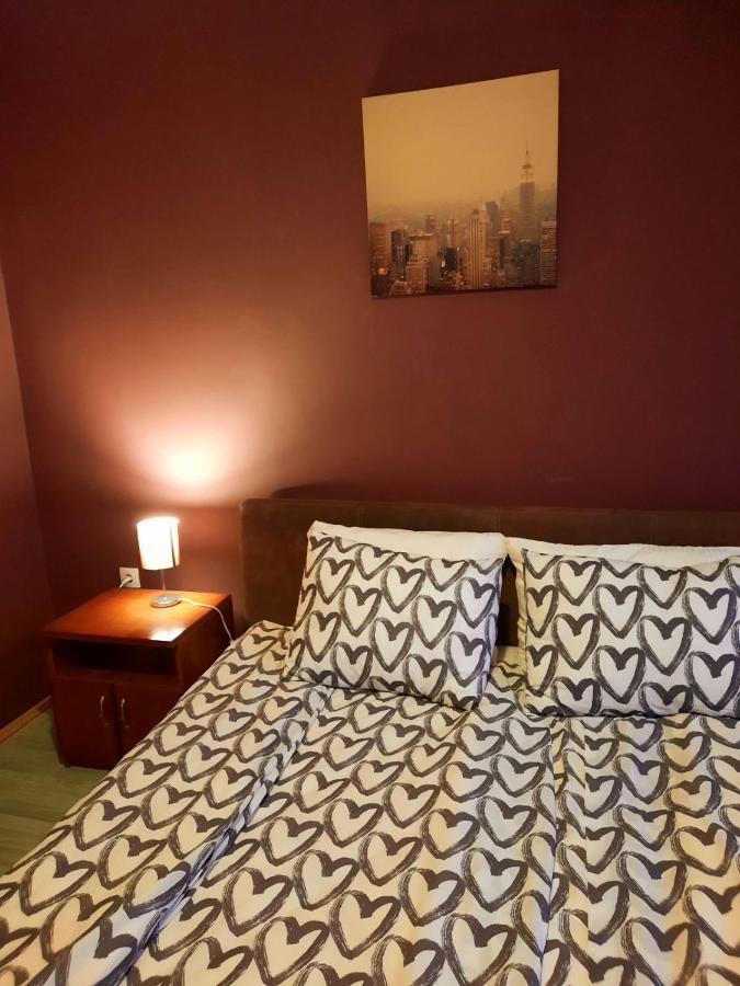 Apartman Danube Novi Sad Bagian luar foto